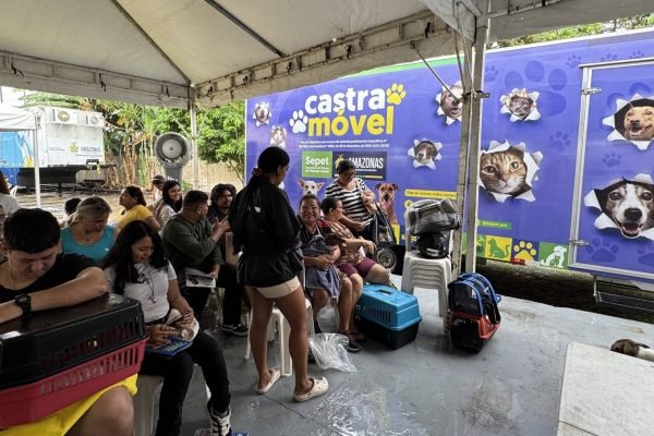 Ação de castração solidária de animais acontece no bairro Betânia, zona sul de Manaus