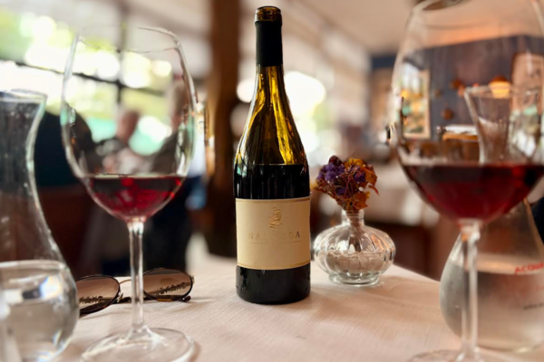Uvas autóctones: quando o vinho preserva a história de um lugar