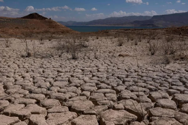 Planeta vai exceder limite de 1,5°C e tarefa agora será voltar a ele, diz ONU