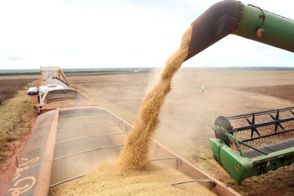 Balança comercial brasileira registra superávit de US$ 7,4 bilhões em agosto
