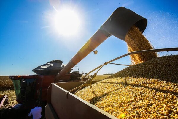 PIB brasileiro tem 5º maior crescimento do mundo no 2º trimestre; leia ranking