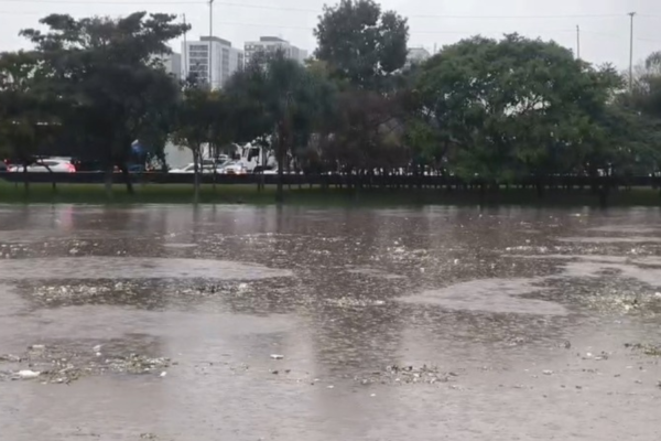 Chuvas deixam ao menos 8 mortos e 1 desaparecido na Grande São Paulo