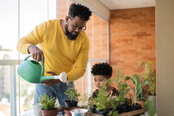 Plantas: como escolher a melhor para cada ambiente da casa