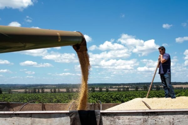Como o El Niño mais forte em uma geração já causa estragos na economia global
