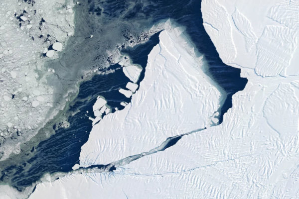 Groenlândia e Antártica perderam 12,5 trilhões de toneladas de gelo em menos de 50 anos