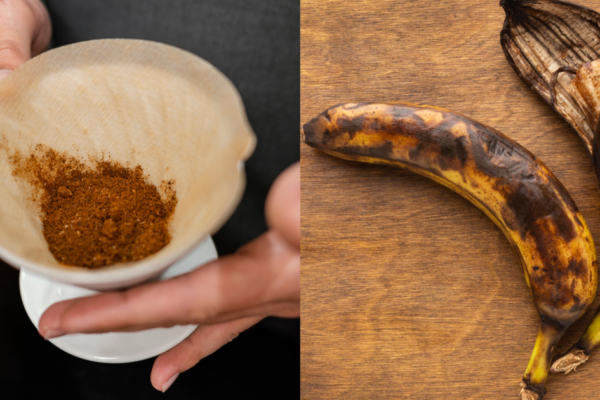 Misturar café usado com casca de banana e água: para que serve e por que usar? Entenda