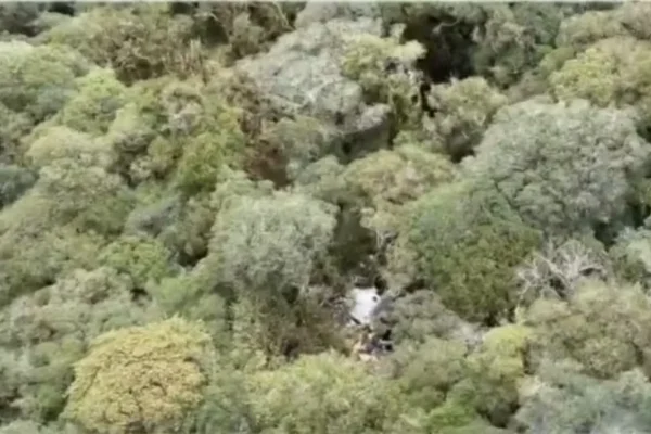 Destroços de helicóptero com cantor Rick são encontrados; cinco corpos são localizados
