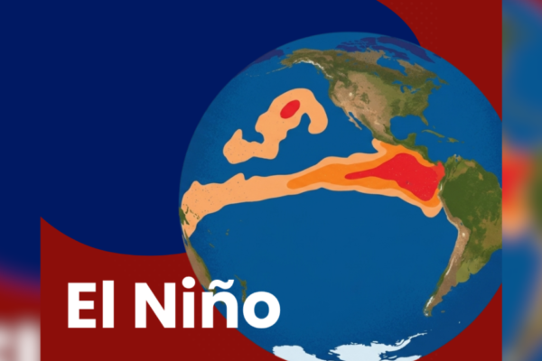 Super El Niño será ‘muito forte’ nos meses de setembro, outubro e novembro; entenda os efeitos