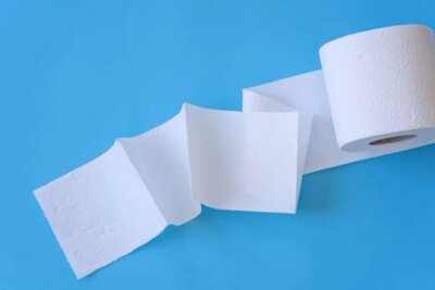 Colocar um rolo de papel higiênico na geladeira: para que serve e por que recomendam fazer isso