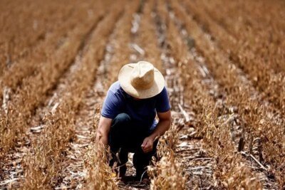 Agro pode estar deixando pior fase para trás, diz gestora