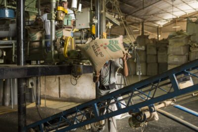 Mais café no mundo não garante alívio nos preços. Entenda o motivo