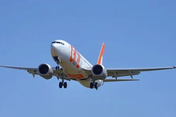 Avião da Gol volta ao aeroporto do Recife após pássaro avariar motor