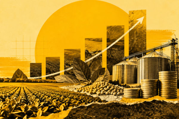 Fiagro muda de perfil cinco anos após criação e amplia crédito no agro