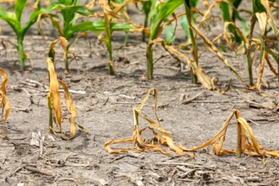 Amazonas decreta emergência em saúde por 180 dias após seca isolar 562 comunidades