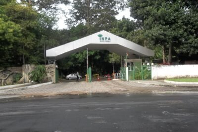 Estudo do INPA alerta para calor extremo em áreas de Manaus