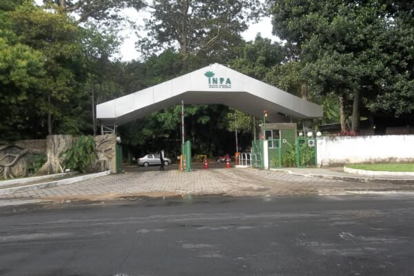 Estudo do INPA alerta para calor extremo em áreas de Manaus