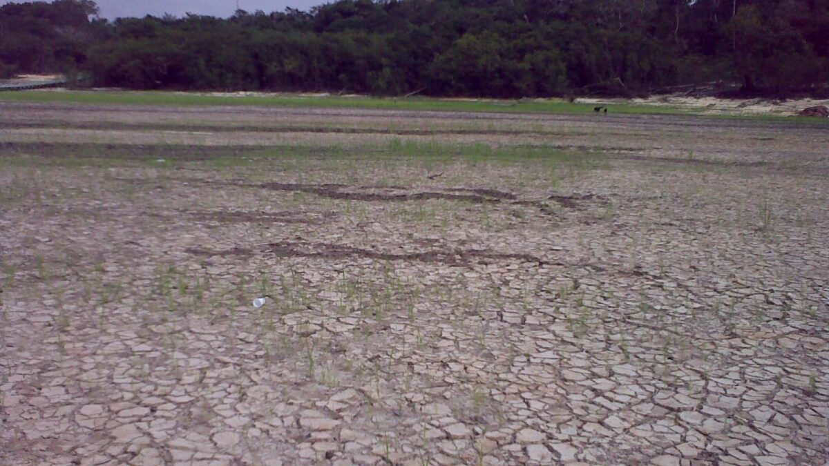 Bancos de areia e vazante acentuada no Rio Negro durante a estiagem histórica em Manaus.
