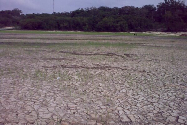 Pesquisa do INPA revela como a seca afeta a água em Manaus