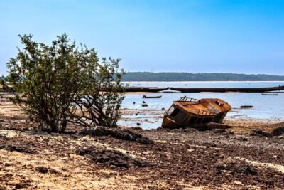 Amazonas decreta emergência em saúde por seca histórica