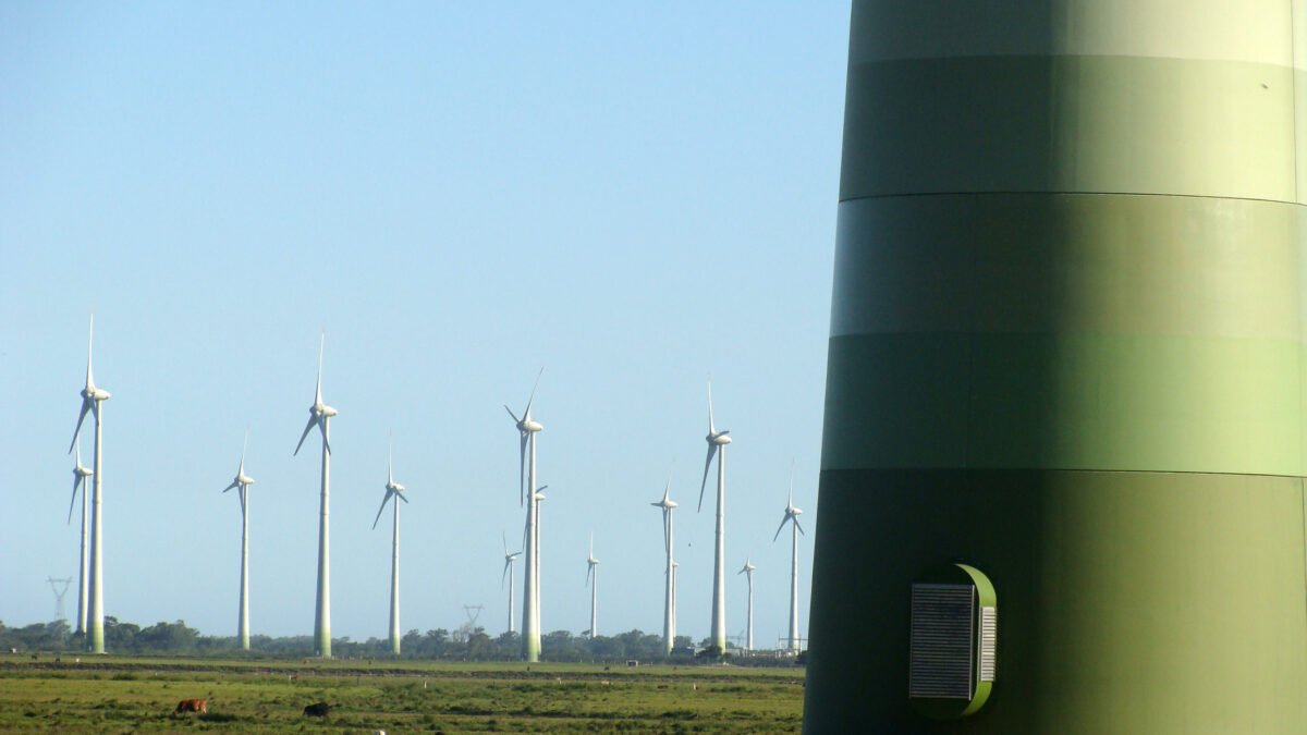 Parque de geração de energia eólica e renovável com modernos aerogeradores em funcionamento.