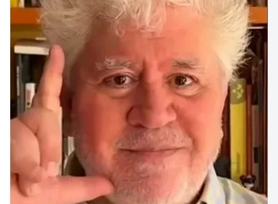 Mark Ruffalo, Tilda Swinton e outras estrelas internacionais declaram apoio a Lula em vídeo